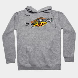 Painted Turtle Hoodie